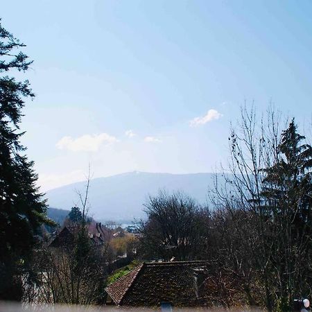 Maison 3 Chambres Au Lac D'Annecy, 30Min La Clusaz منتون - سانت - برنارد المظهر الخارجي الصورة