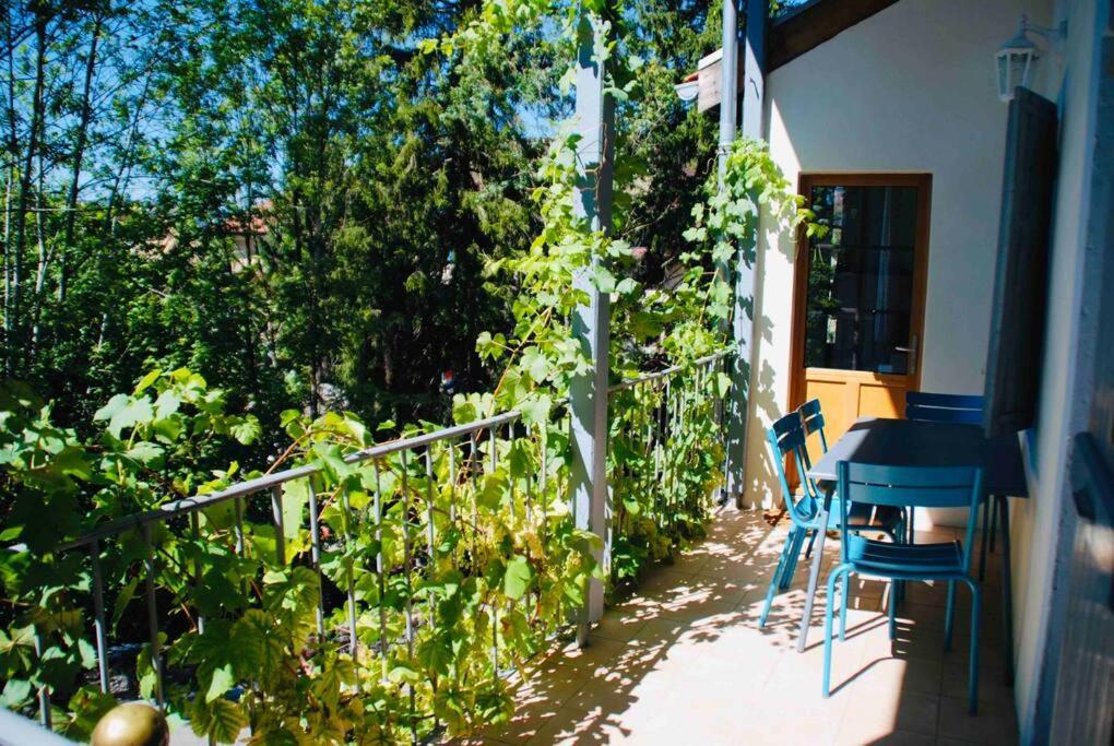 Maison 3 Chambres Au Lac D'Annecy, 30Min La Clusaz منتون - سانت - برنارد المظهر الخارجي الصورة