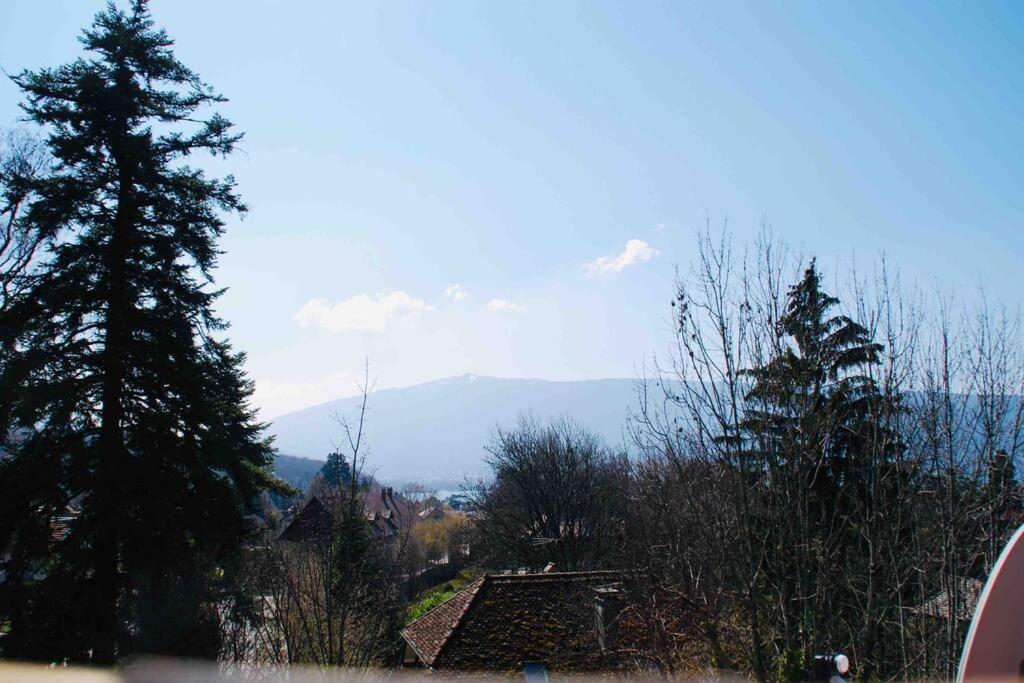 Maison 3 Chambres Au Lac D'Annecy, 30Min La Clusaz منتون - سانت - برنارد المظهر الخارجي الصورة