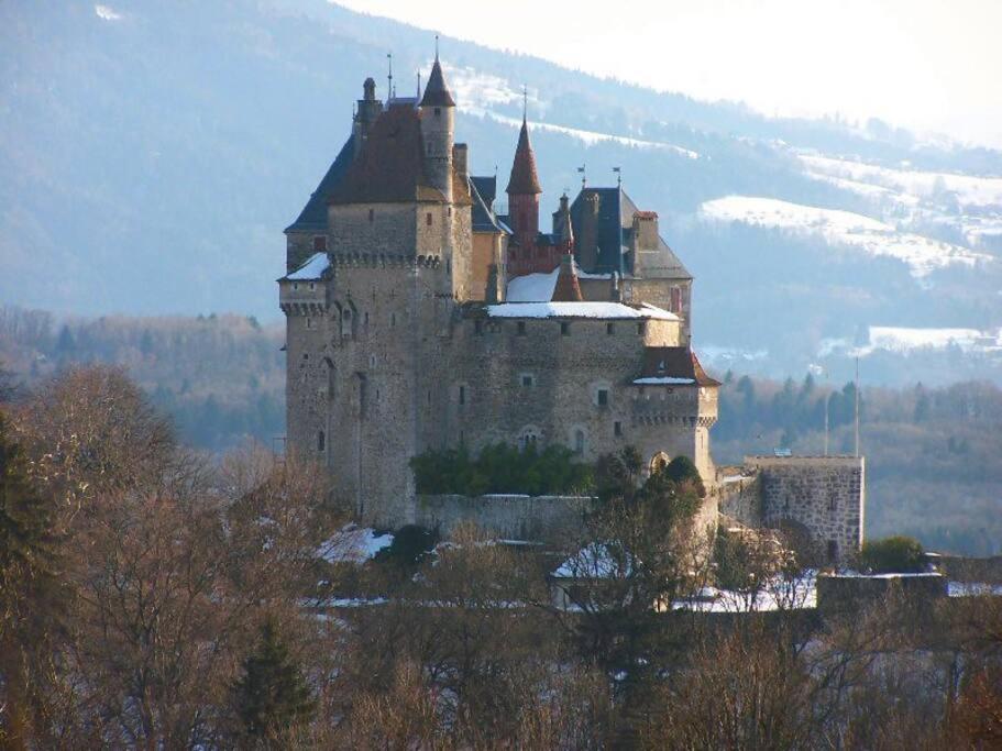 Maison 3 Chambres Au Lac D'Annecy, 30Min La Clusaz منتون - سانت - برنارد المظهر الخارجي الصورة