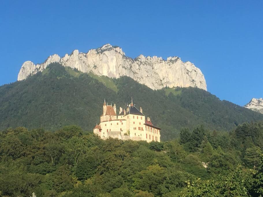Maison 3 Chambres Au Lac D'Annecy, 30Min La Clusaz منتون - سانت - برنارد المظهر الخارجي الصورة